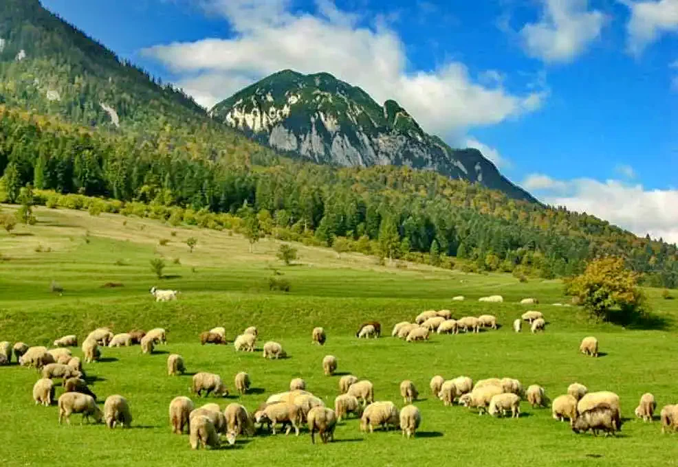 Gura Râului Cazare | Pensiune (K0657-59) Imaginea poate fi supusă drepturilor de autor. Se recomandă contactarea titularului drepturilor. Gura Râului Cazare | Pensiune (K0657-59) Imaginea poate fi supusă drepturilor de autor. Se recomandă contactarea titularului drepturilor.