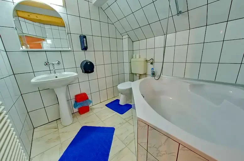 Lunca de Jos Cazare | Pensiune (K0805-10) Imaginea poate fi supusă drepturilor de autor. Se recomandă contactarea titularului drepturilor.