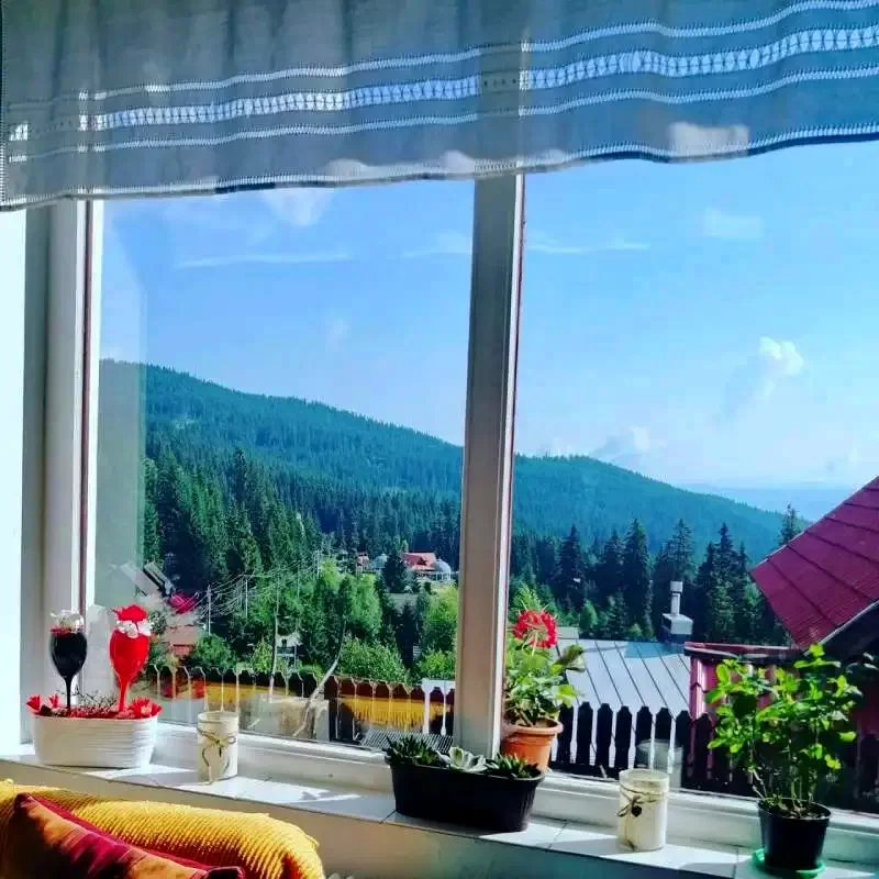 Hargitafürdő Szállás | Panzió (K0186-13) A kép szerzői jogvédelem alatt állhat. Javasolt a kapcsolatfelvétel a jog tulajdonossal.