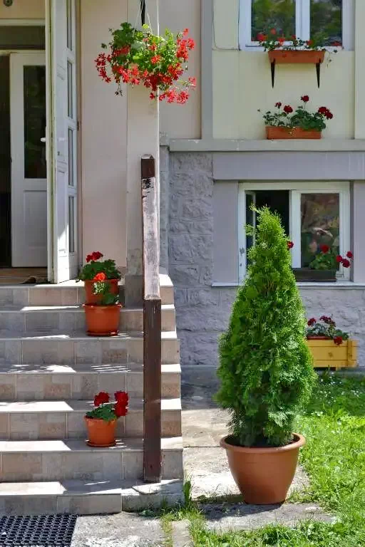 Borsec Cazare | Pensiune (K0628-19) Imaginea poate fi supusă drepturilor de autor. Se recomandă contactarea titularului drepturilor. Borsec Cazare | Pensiune (K0628-19) Imaginea poate fi supusă drepturilor de autor. Se recomandă contactarea titularului drepturilor.