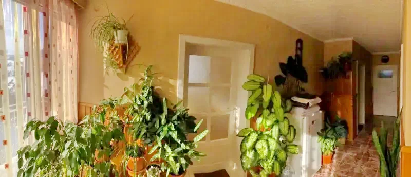 Zetea Cazare | Motel (K0497-29) Imaginea poate fi supusă drepturilor de autor. Se recomandă contactarea titularului drepturilor.