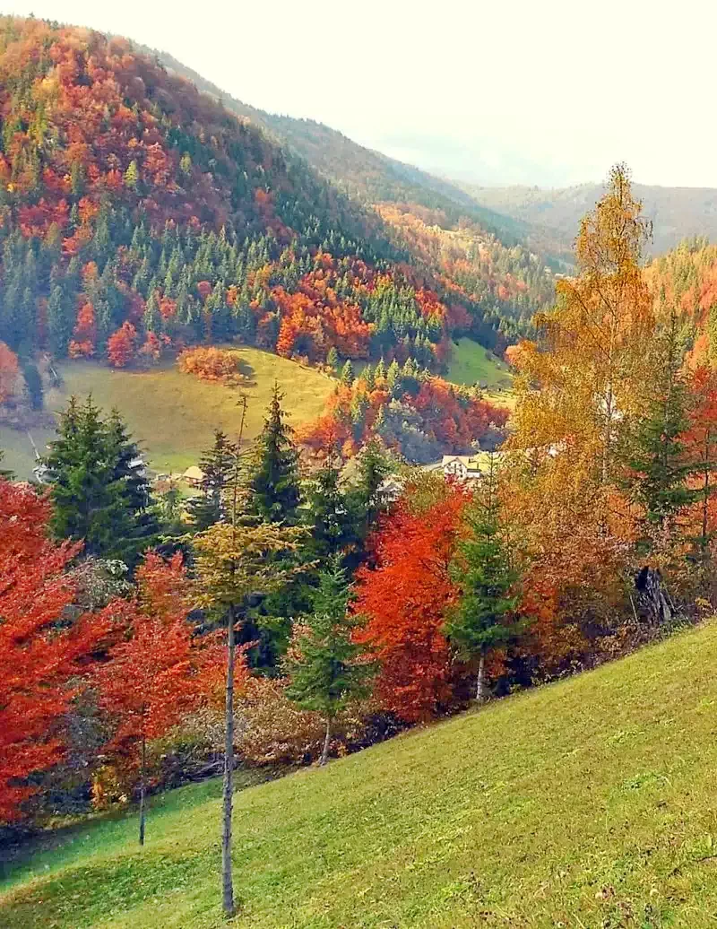 Zetelaka Szállás | Motel (K0497-44) A kép szerzői jogvédelem alatt állhat. Javasolt a kapcsolatfelvétel a jog tulajdonossal.