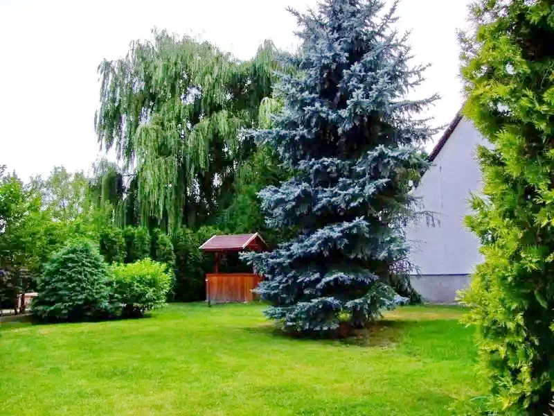  Cazare | Hotel**** (K0654-18) Imaginea poate fi supusă drepturilor de autor. Se recomandă contactarea titularului drepturilor.