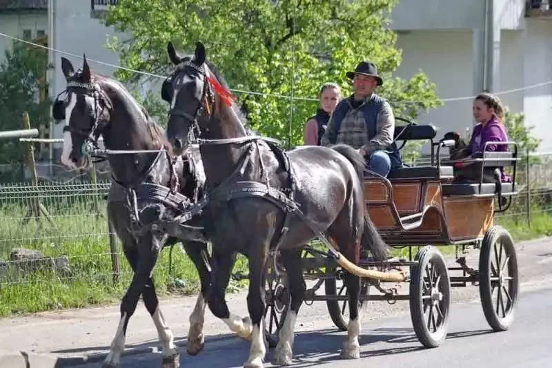 Borsa Szállás | Panzió (K0989-29) A kép szerzői jogvédelem alatt állhat. Javasolt a kapcsolatfelvétel a jog tulajdonossal. Borsa Szállás | Panzió (K0989-29) A kép szerzői jogvédelem alatt állhat. Javasolt a kapcsolatfelvétel a jog tulajdonossal.