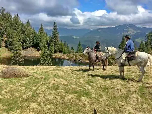 Borșa Cazare | Motel (K0989-33) Imaginea poate fi supusă drepturilor de autor. Se recomandă contactarea titularului drepturilor.