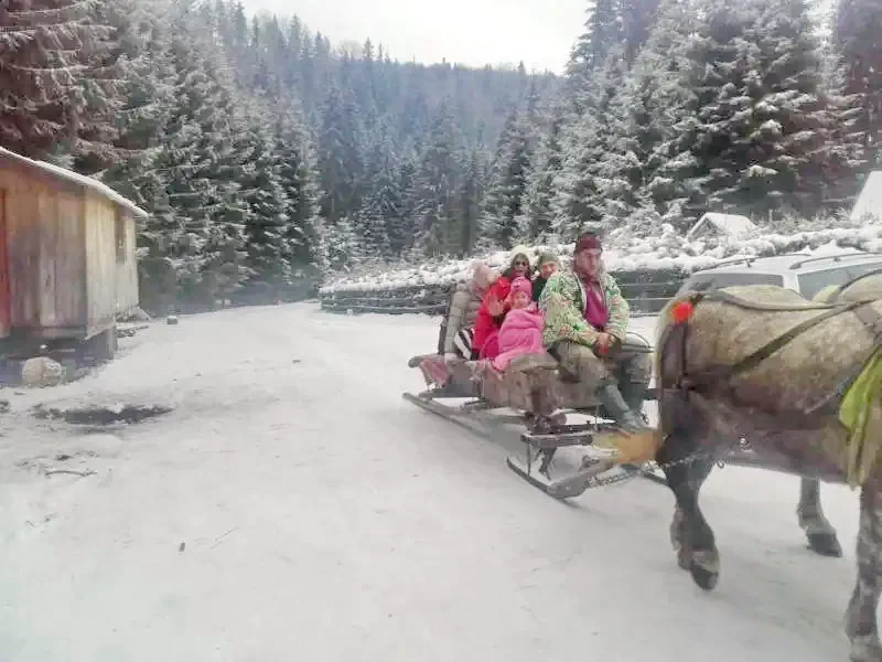 Parajd Szállás | Kulcsosház (K0301-15) A kép szerzői jogvédelem alatt állhat. Javasolt a kapcsolatfelvétel a jog tulajdonossal.