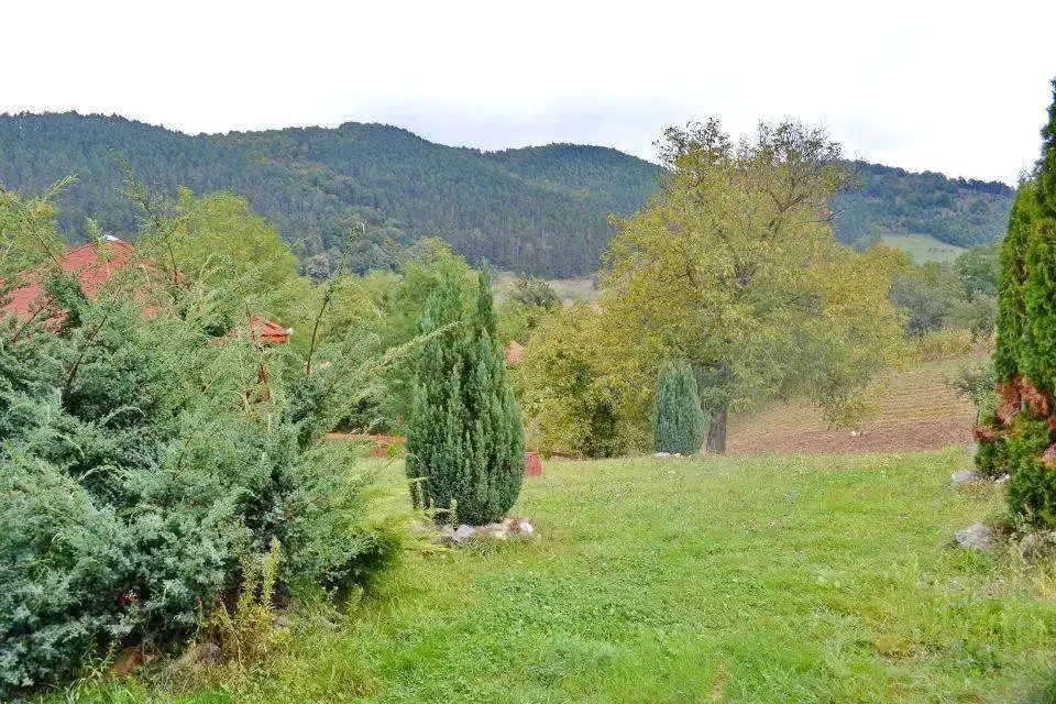 Cazare Bulz - Cabana Lorau | Remetelórév - Lorau Turistaház. Imaginea poate fi supusă drepturilor de autor. Se recomandă contactarea titularului drepturilor.
