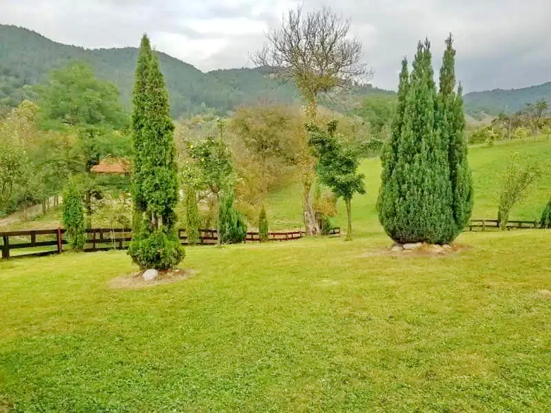 Lorău Cazare | Sat de vacanță (K0131-44) Imaginea poate fi supusă drepturilor de autor. Se recomandă contactarea titularului drepturilor.