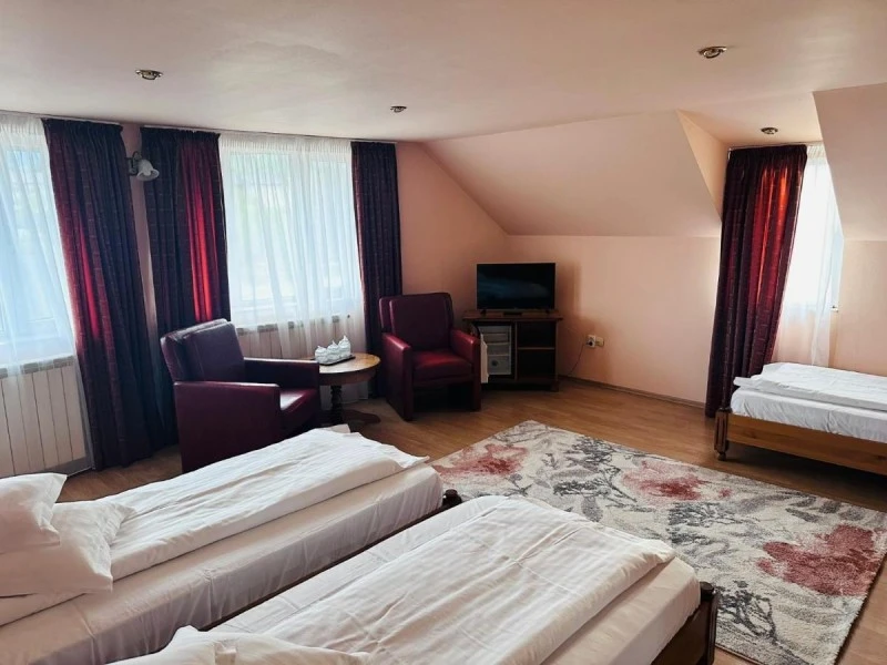 Câmpulung Moldovenesc Cazare | Hotel*** (K1564-22) Imaginea poate fi supusă drepturilor de autor. Se recomandă contactarea titularului drepturilor.