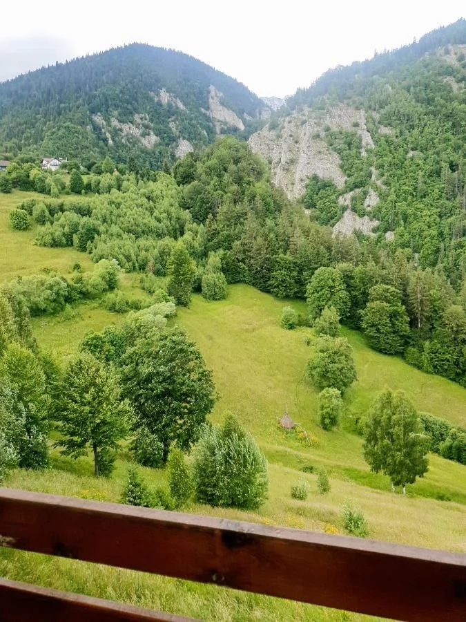 Magura Szállás | Motel (K1113-12) A kép szerzői jogvédelem alatt állhat. Javasolt a kapcsolatfelvétel a jog tulajdonossal.