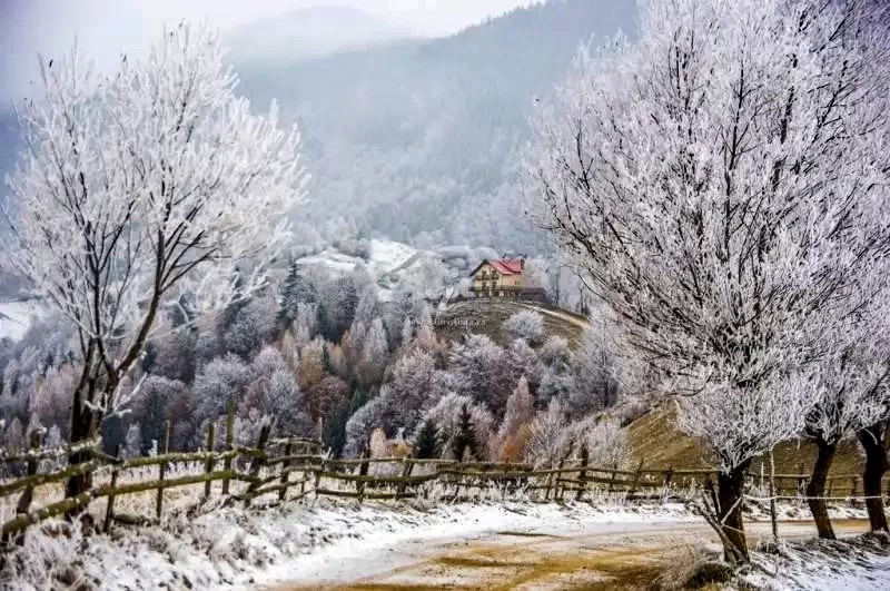 Măgura Cazare | Pensiune (K1113-16) Imaginea poate fi supusă drepturilor de autor. Se recomandă contactarea titularului drepturilor.