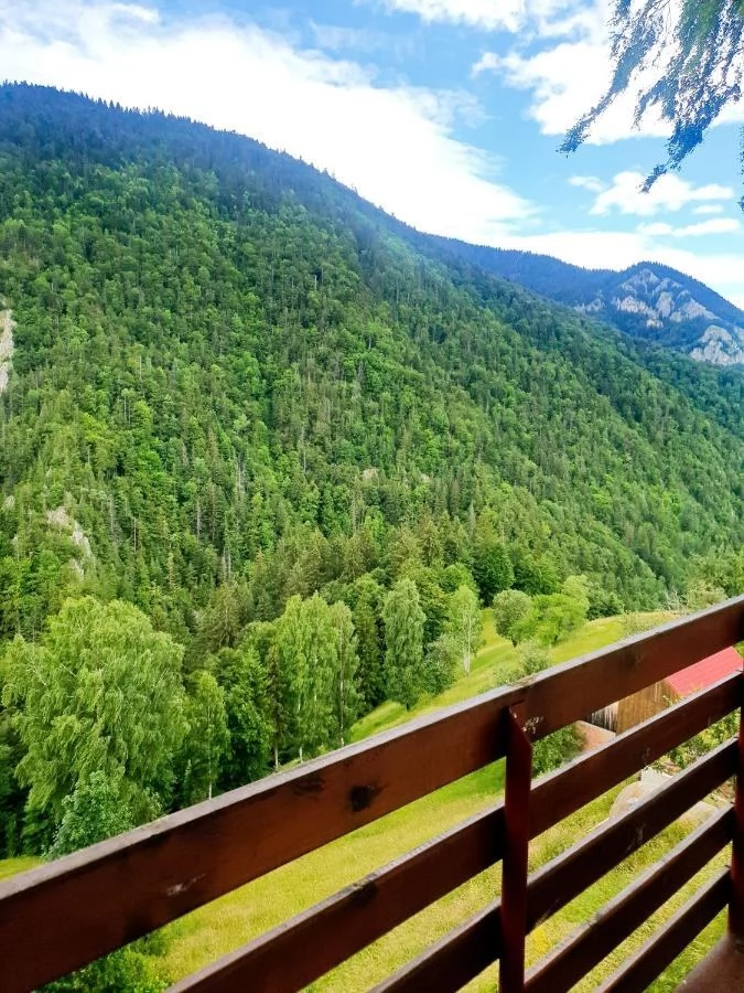 Magura Szállás | Motel (K1113-22) A kép szerzői jogvédelem alatt állhat. Javasolt a kapcsolatfelvétel a jog tulajdonossal.