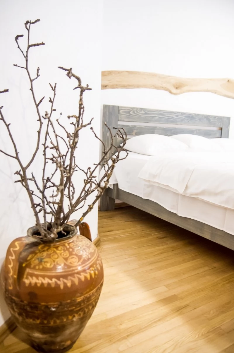 Măgura Cazare | Pensiune (K1113-25) Imaginea poate fi supusă drepturilor de autor. Se recomandă contactarea titularului drepturilor.