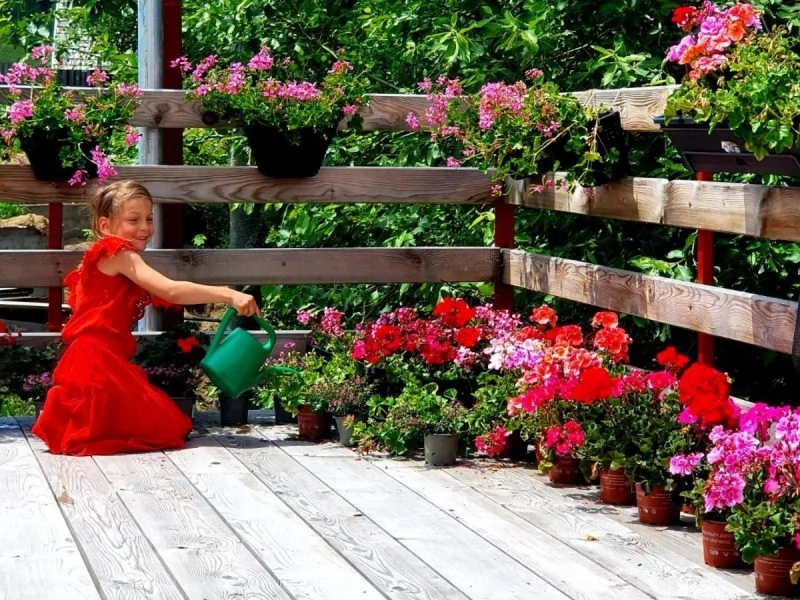 Magura Szállás | Panzió (K1113-29) A kép szerzői jogvédelem alatt állhat. Javasolt a kapcsolatfelvétel a jog tulajdonossal.