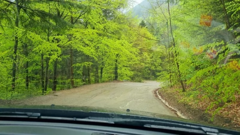 Magura Szállás | Motel (K1113-39) A kép szerzői jogvédelem alatt állhat. Javasolt a kapcsolatfelvétel a jog tulajdonossal.