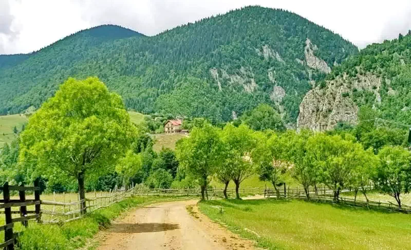 Măgura Cazare | Pensiune (K1113-40) Imaginea poate fi supusă drepturilor de autor. Se recomandă contactarea titularului drepturilor.