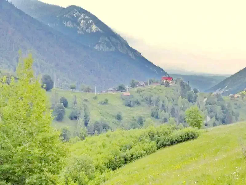 Magura Szállás | Motel (K1113-42) A kép szerzői jogvédelem alatt állhat. Javasolt a kapcsolatfelvétel a jog tulajdonossal.