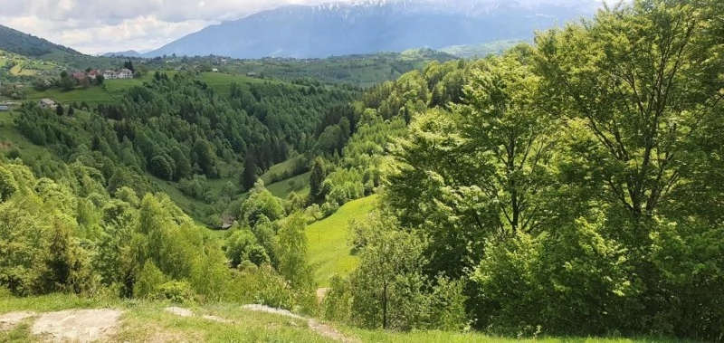 Măgura Cazare | Pensiune (K1113-43) Imaginea poate fi supusă drepturilor de autor. Se recomandă contactarea titularului drepturilor.