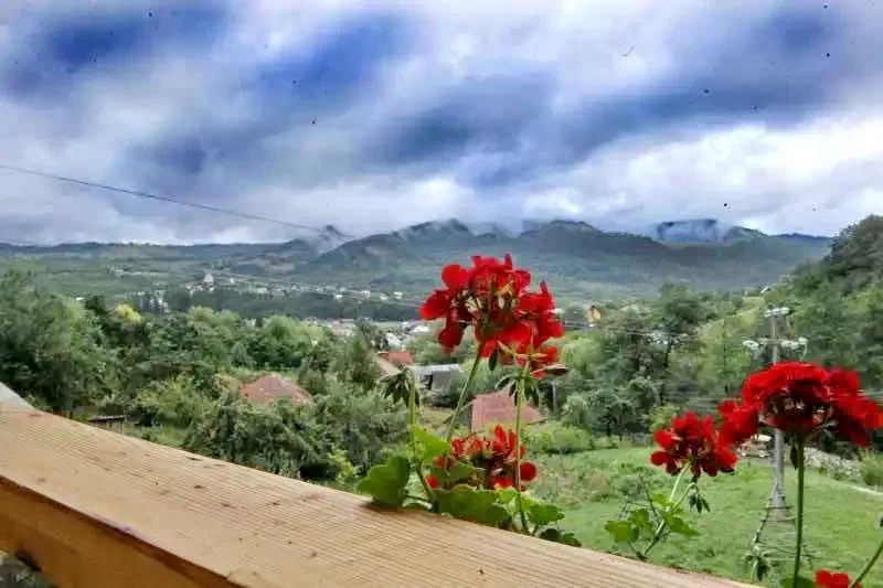 Szállás | Panzió (K0886-28) A kép szerzői jogvédelem alatt állhat. Javasolt a kapcsolatfelvétel a jog tulajdonossal.  Szállás | Panzió (K0886-28) A kép szerzői jogvédelem alatt állhat. Javasolt a kapcsolatfelvétel a jog tulajdonossal.