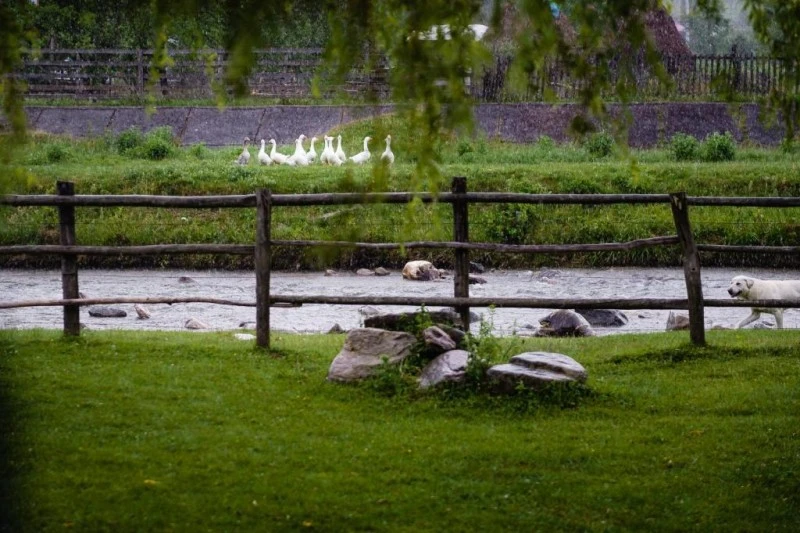 Szállás | Panzió (K0625-55) A kép szerzői jogvédelem alatt állhat. Javasolt a kapcsolatfelvétel a jog tulajdonossal.  Szállás | Panzió (K0625-55) A kép szerzői jogvédelem alatt állhat. Javasolt a kapcsolatfelvétel a jog tulajdonossal.