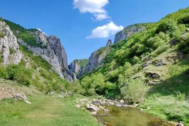 Petreștii de Sus Cazare | Motel (K0656-50) Imaginea poate fi supusă drepturilor de autor. Se recomandă contactarea titularului drepturilor.