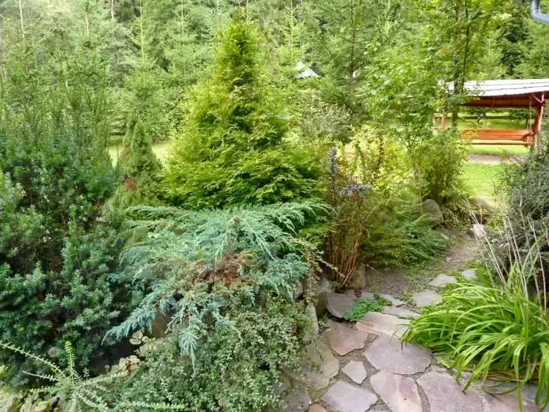 Barajul Zetea Cazare | Sat de vacanță (K1165-5) Imaginea poate fi supusă drepturilor de autor. Se recomandă contactarea titularului drepturilor.