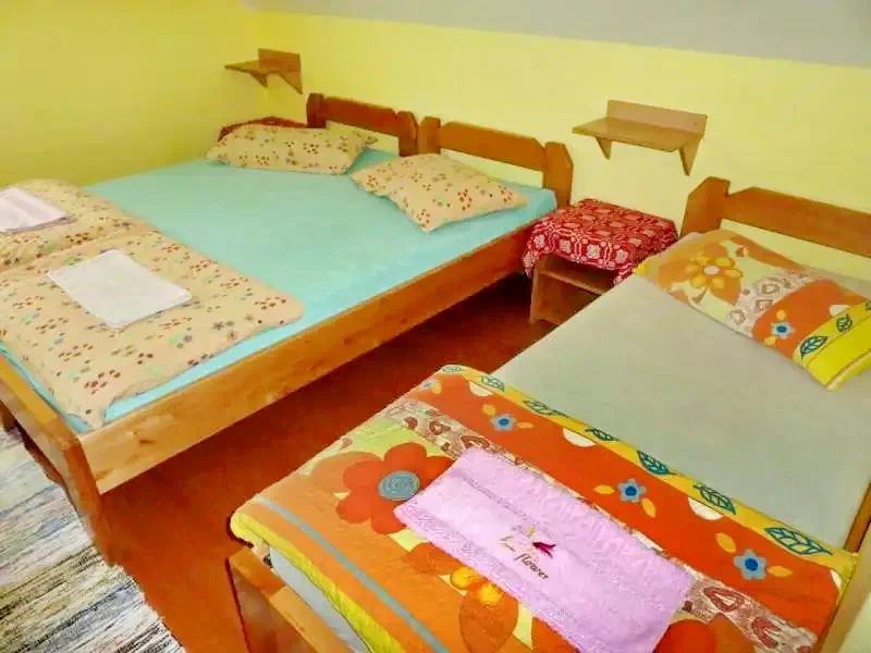 Barajul Zetea Cazare | Sat de vacanță (K1165-29) Imaginea poate fi supusă drepturilor de autor. Se recomandă contactarea titularului drepturilor.