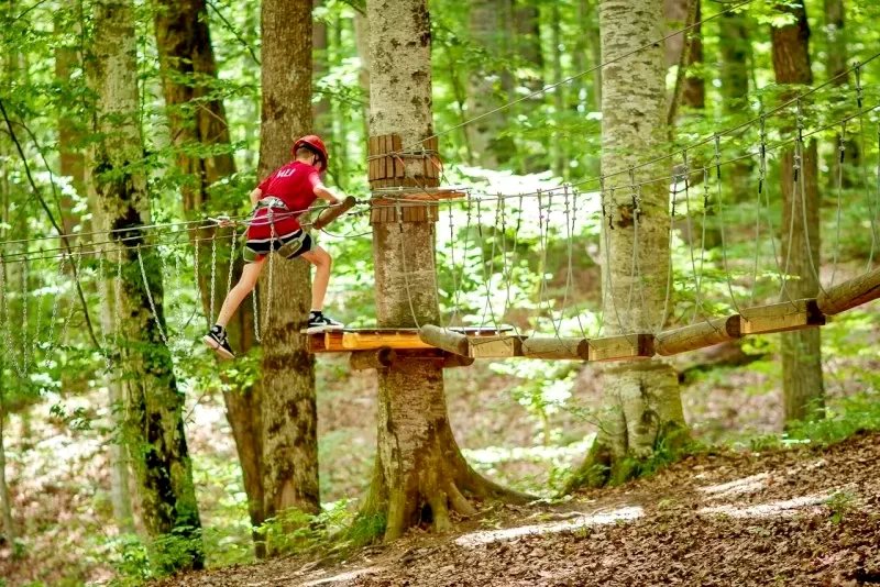 Praid Cazare | Casă de oaspeți (K0965-38) Imaginea poate fi supusă drepturilor de autor. Se recomandă contactarea titularului drepturilor.