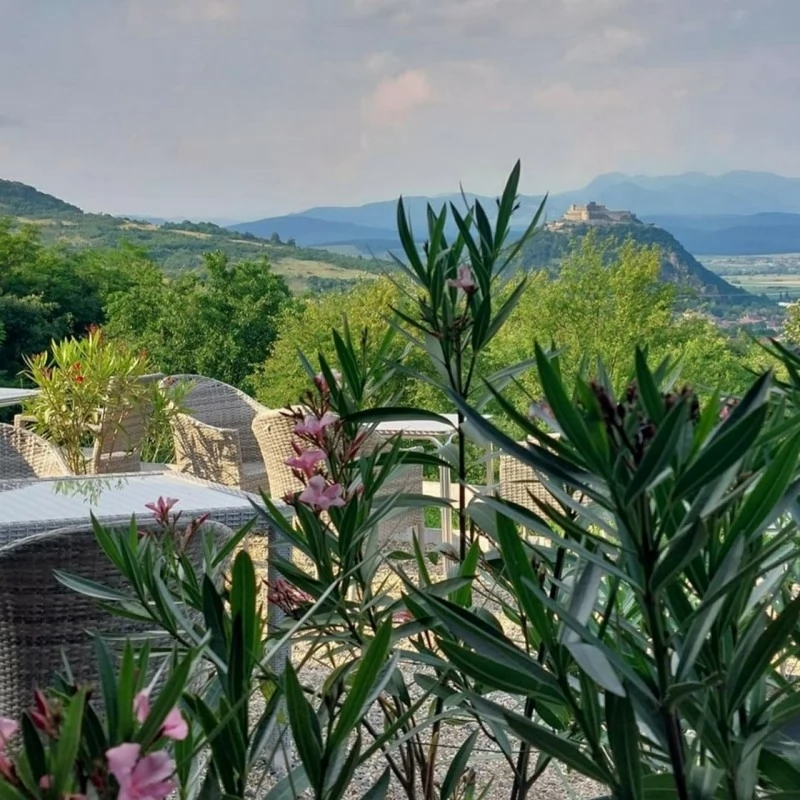 Deva Cazare | Căsuțe tip camping (K1474-81) Imaginea poate fi supusă drepturilor de autor. Se recomandă contactarea titularului drepturilor.