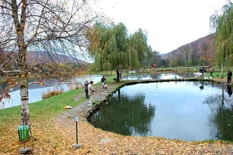 Câmpu Cetății Cazare | Căsuțe tip camping (K1001-71) Imaginea poate fi supusă drepturilor de autor. Se recomandă contactarea titularului drepturilor.