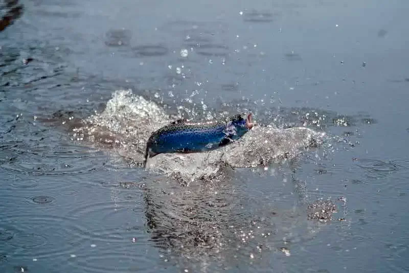 Vármező Szállás | Panzió (K0996-44) A kép szerzői jogvédelem alatt állhat. Javasolt a kapcsolatfelvétel a jog tulajdonossal. Vármező Szállás | Panzió (K0996-44) A kép szerzői jogvédelem alatt állhat. Javasolt a kapcsolatfelvétel a jog tulajdonossal.