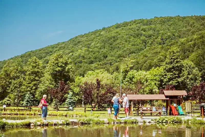 Câmpu Cetății Cazare | Pensiune (K0996-45) Imaginea poate fi supusă drepturilor de autor. Se recomandă contactarea titularului drepturilor.