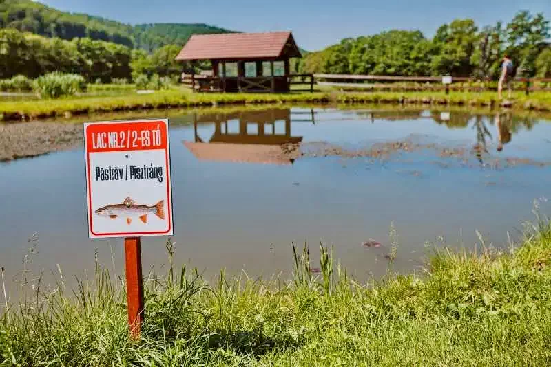 Câmpu Cetății Cazare | Motel (K0996-50) Imaginea poate fi supusă drepturilor de autor. Se recomandă contactarea titularului drepturilor.