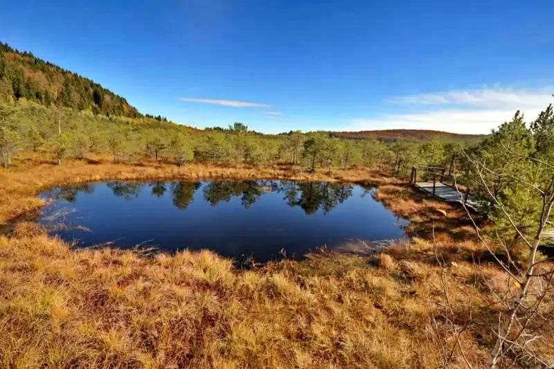 Árkos Szállás | Hostel (K0763-33) A kép szerzői jogvédelem alatt állhat. Javasolt a kapcsolatfelvétel a jog tulajdonossal. Árkos Szállás | Hostel (K0763-33) A kép szerzői jogvédelem alatt állhat. Javasolt a kapcsolatfelvétel a jog tulajdonossal.