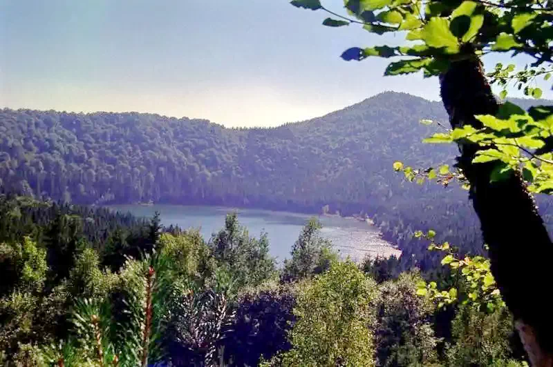 Arcuș Cazare | Hostel (K0763-34) Imaginea poate fi supusă drepturilor de autor. Se recomandă contactarea titularului drepturilor.