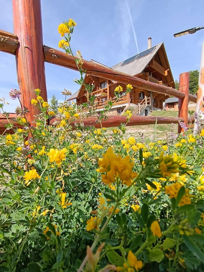 Gârda de Sus Cazare | Motel (K0837-1) Imaginea poate fi supusă drepturilor de autor. Se recomandă contactarea titularului drepturilor.