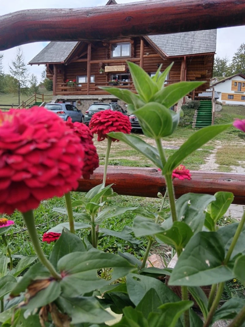 Gârda de Sus Cazare | Pensiune (K0837-26) Imaginea poate fi supusă drepturilor de autor. Se recomandă contactarea titularului drepturilor. Gârda de Sus Cazare | Pensiune (K0837-26) Imaginea poate fi supusă drepturilor de autor. Se recomandă contactarea titularului drepturilor.