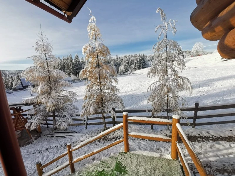 Felsőgirda Szállás | Motel (K0837-28) A kép szerzői jogvédelem alatt állhat. Javasolt a kapcsolatfelvétel a jog tulajdonossal.