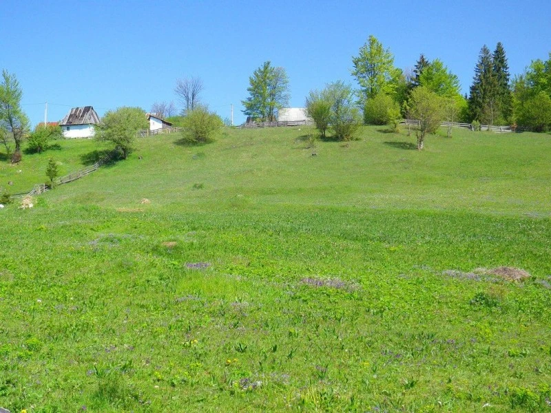 Gârda de Sus Cazare | Motel (K0837-51) Imaginea poate fi supusă drepturilor de autor. Se recomandă contactarea titularului drepturilor.