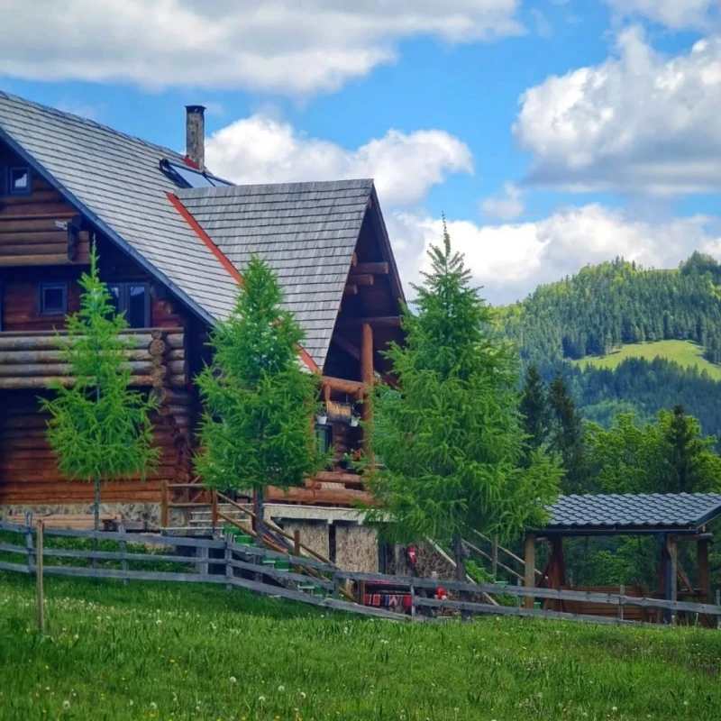 Gârda de Sus Cazare | Motel (K0837-77) Imaginea poate fi supusă drepturilor de autor. Se recomandă contactarea titularului drepturilor.