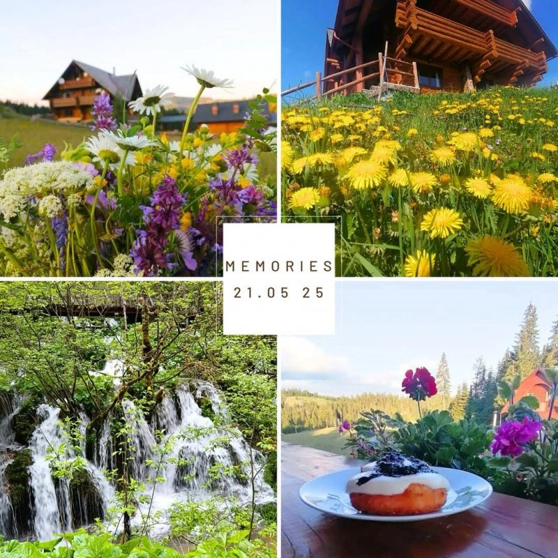 Gârda de Sus Cazare | Motel (K0837-82) Imaginea poate fi supusă drepturilor de autor. Se recomandă contactarea titularului drepturilor.