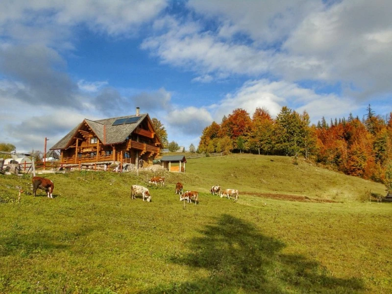 Felsőgirda Szállás | Panzió (K0837-87) A kép szerzői jogvédelem alatt állhat. Javasolt a kapcsolatfelvétel a jog tulajdonossal.