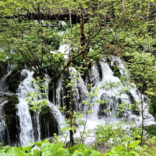 Felsőgirda Szállás | Panzió (K0837-90) A kép szerzői jogvédelem alatt állhat. Javasolt a kapcsolatfelvétel a jog tulajdonossal.