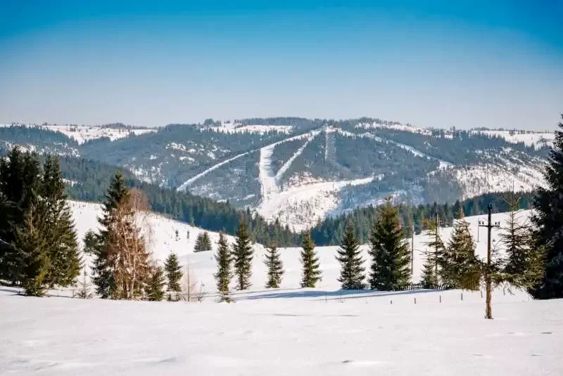 Smida Szállás | Panzió (K1247-42) A kép szerzői jogvédelem alatt állhat. Javasolt a kapcsolatfelvétel a jog tulajdonossal.