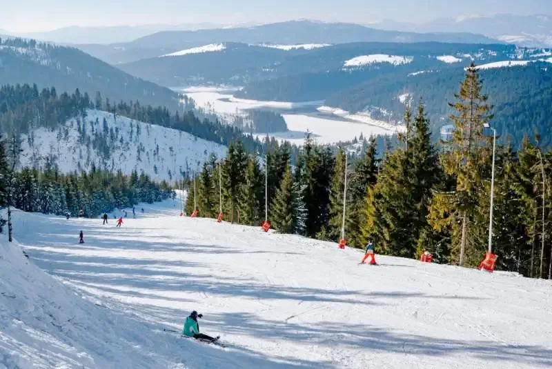 Smida Szállás | Panzió (K1247-43) A kép szerzői jogvédelem alatt állhat. Javasolt a kapcsolatfelvétel a jog tulajdonossal.