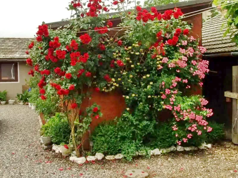 Négyfalu Szállás | Panzió (K0088-13) A kép szerzői jogvédelem alatt állhat. Javasolt a kapcsolatfelvétel a jog tulajdonossal. Négyfalu Szállás | Panzió (K0088-13) A kép szerzői jogvédelem alatt állhat. Javasolt a kapcsolatfelvétel a jog tulajdonossal.