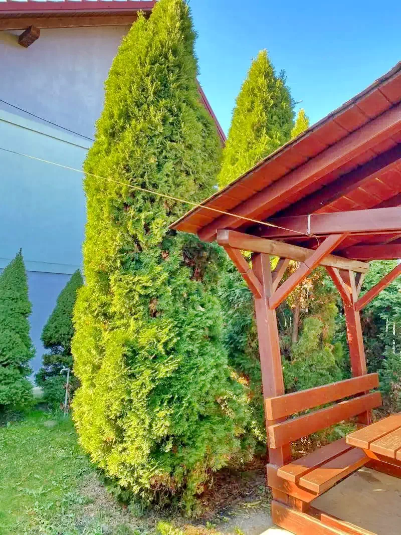 Boghiș Cazare | Pensiune (K0709-18) Imaginea poate fi supusă drepturilor de autor. Se recomandă contactarea titularului drepturilor. Boghiș Cazare | Pensiune (K0709-18) Imaginea poate fi supusă drepturilor de autor. Se recomandă contactarea titularului drepturilor.