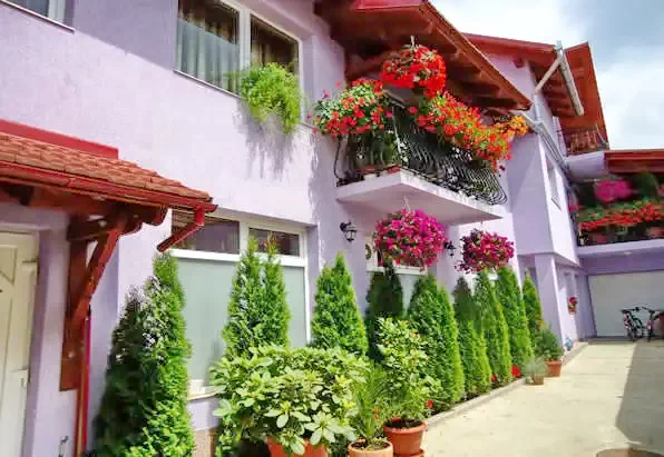 Boghiș Cazare | Motel (K0709-19) Imaginea poate fi supusă drepturilor de autor. Se recomandă contactarea titularului drepturilor.