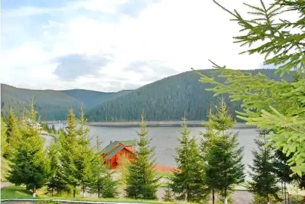 Beliș Cazare | Pensiune turistică (K0794-29) Imaginea poate fi supusă drepturilor de autor. Se recomandă contactarea titularului drepturilor.