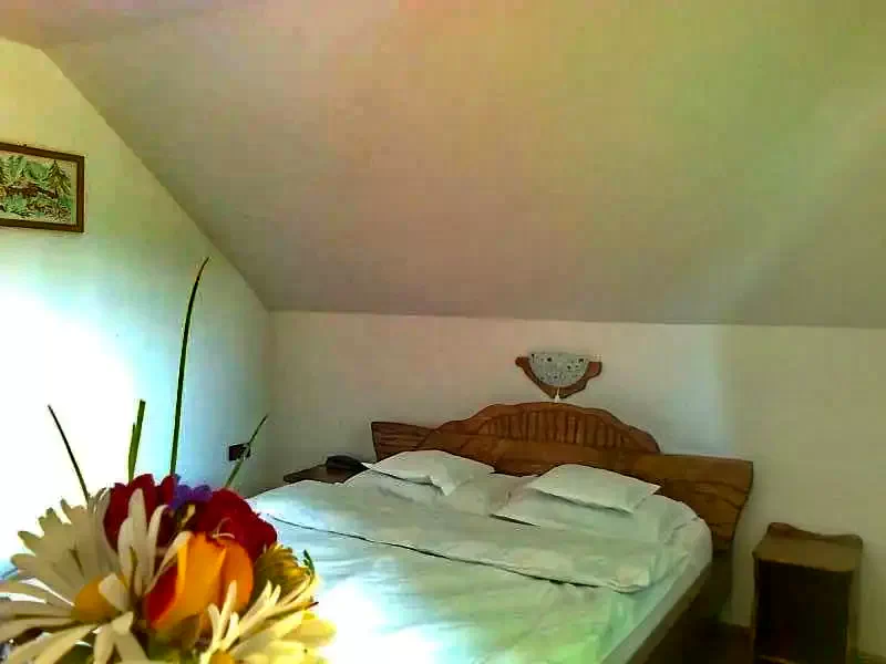 Beliș Cazare | Motel (K1005-18) Imaginea poate fi supusă drepturilor de autor. Se recomandă contactarea titularului drepturilor.